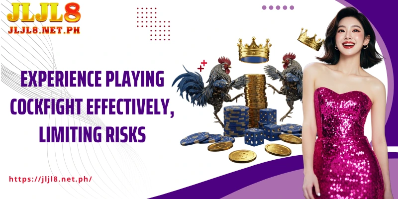 Experience playing Cockfight effectively, limiting risks